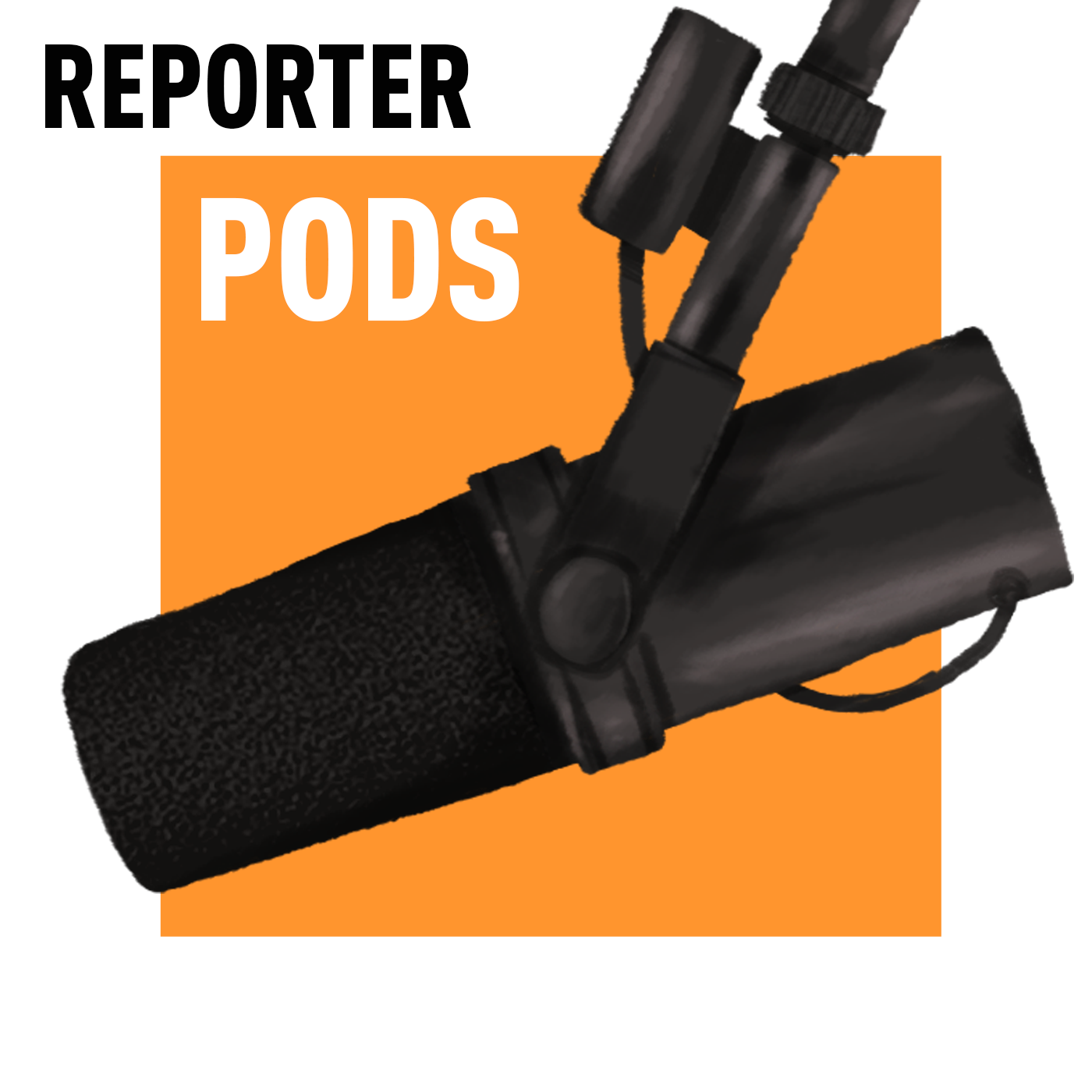 Reporter Pods