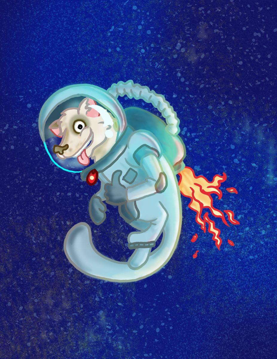 To Explore Is Human