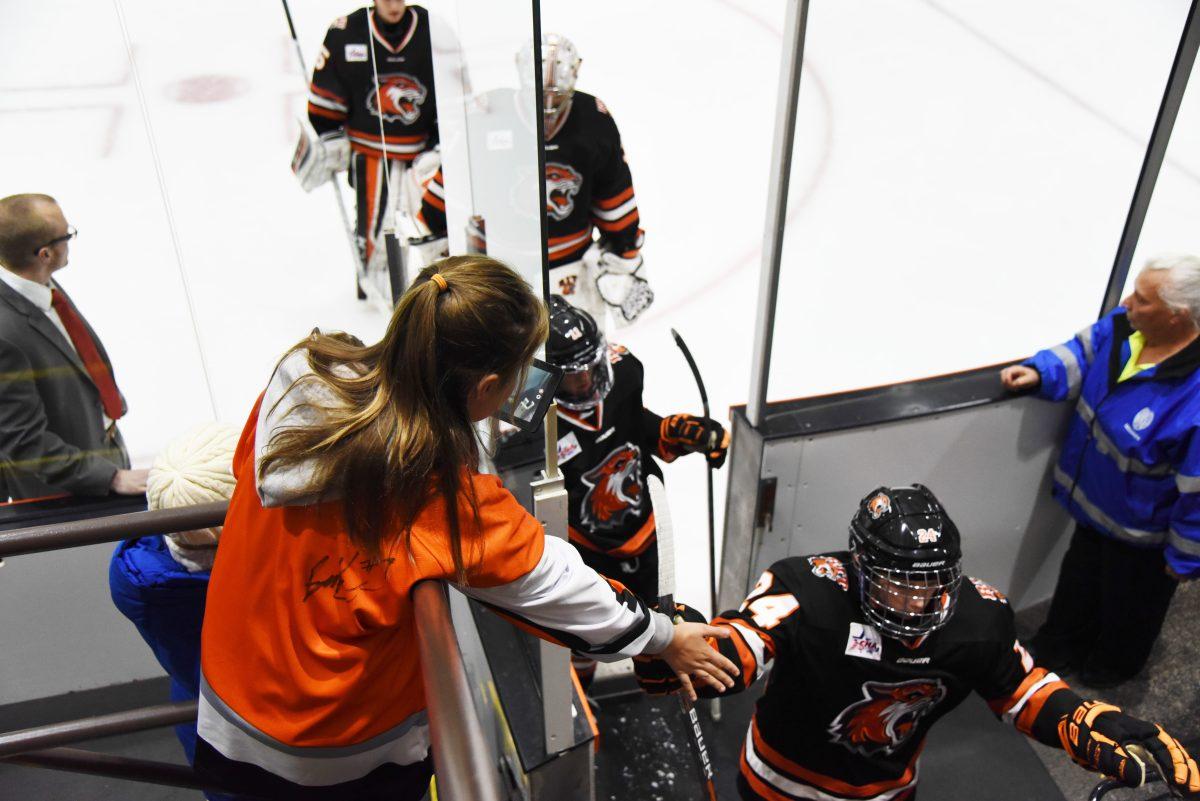 RIT Tiger Den: Student Support