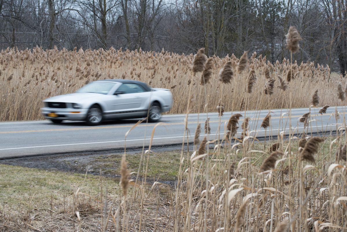 Lighting the Way: Improving Pedestrian Safety Around RIT