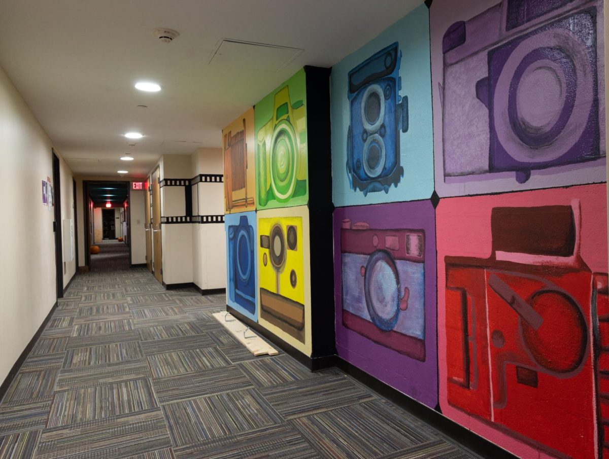 Photo House’s mural, as well as their unique painted “stripes” featured in one of the fourth floor hallways in the Fredericka Douglass Sprague Perry Hall, on Oct. 31, 2024, in Rochester, N.Y..