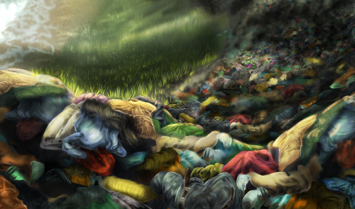 The True Cost of Fast Fashion