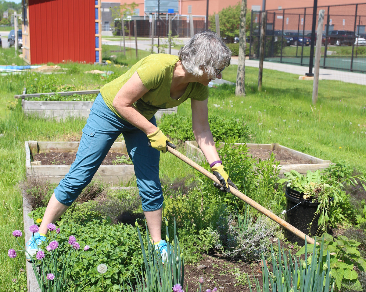 Dawn Carter, the garden coordinator, works on a raised bed at the RIT Community Garden in Henrietta, N.Y. on May 23, 2018. Photo by Bridget Fetsko