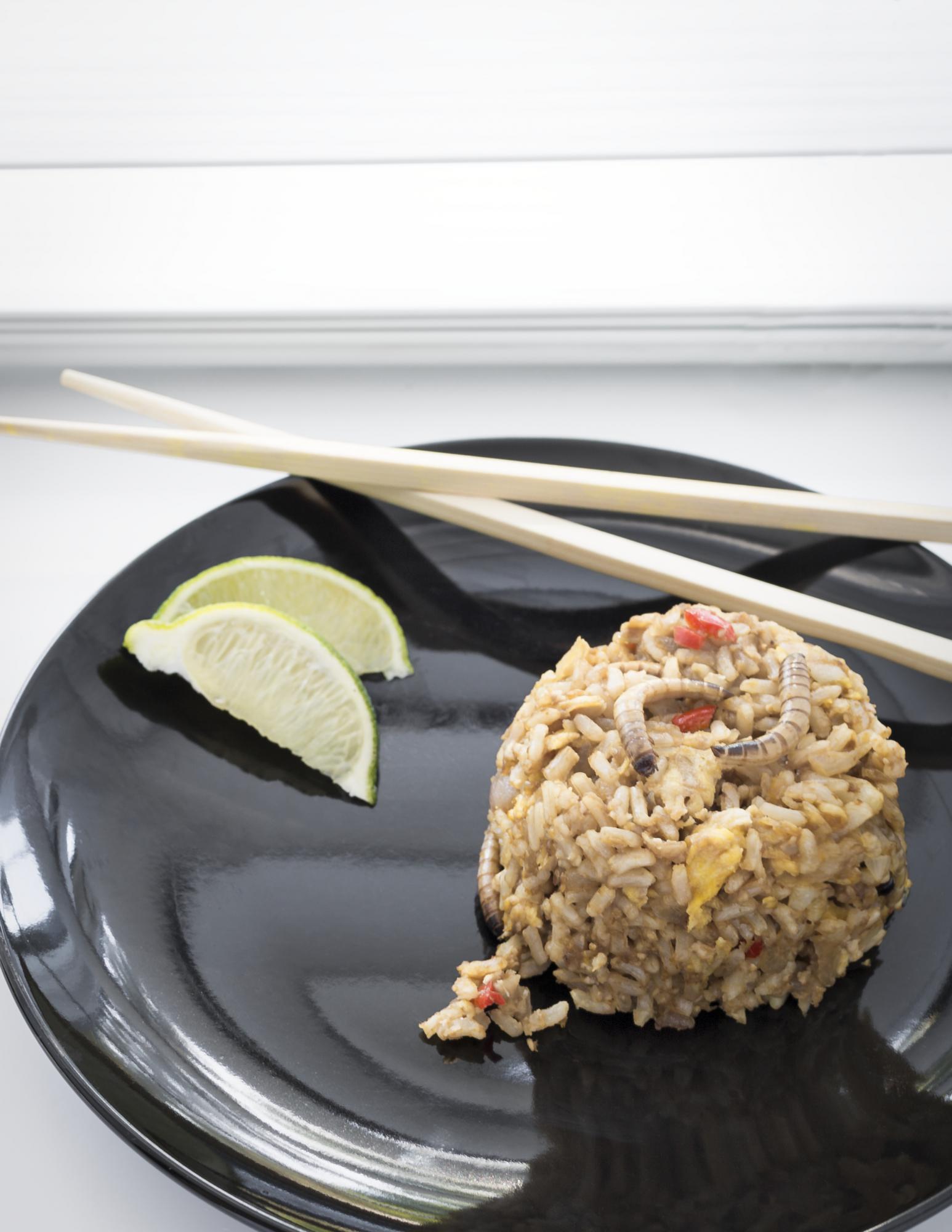 Mealworm fried rice. Recipe below. Photograph by Justin Barrett. 